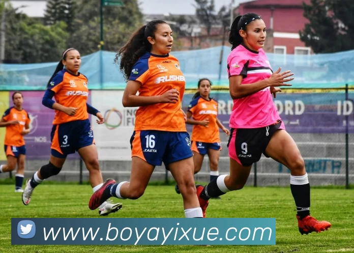 开云app官方在线入口 - 开云kaiyun(中国)服务体系